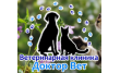 Доктор Вет